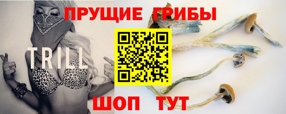 Псилоцибиновые грибы Cubensis  Вход с VPN  Псилоцибиновые грибы Psilocybe  Копейск 