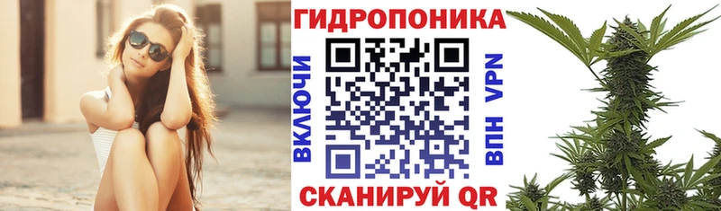Конопля THC 21%  Копейск 